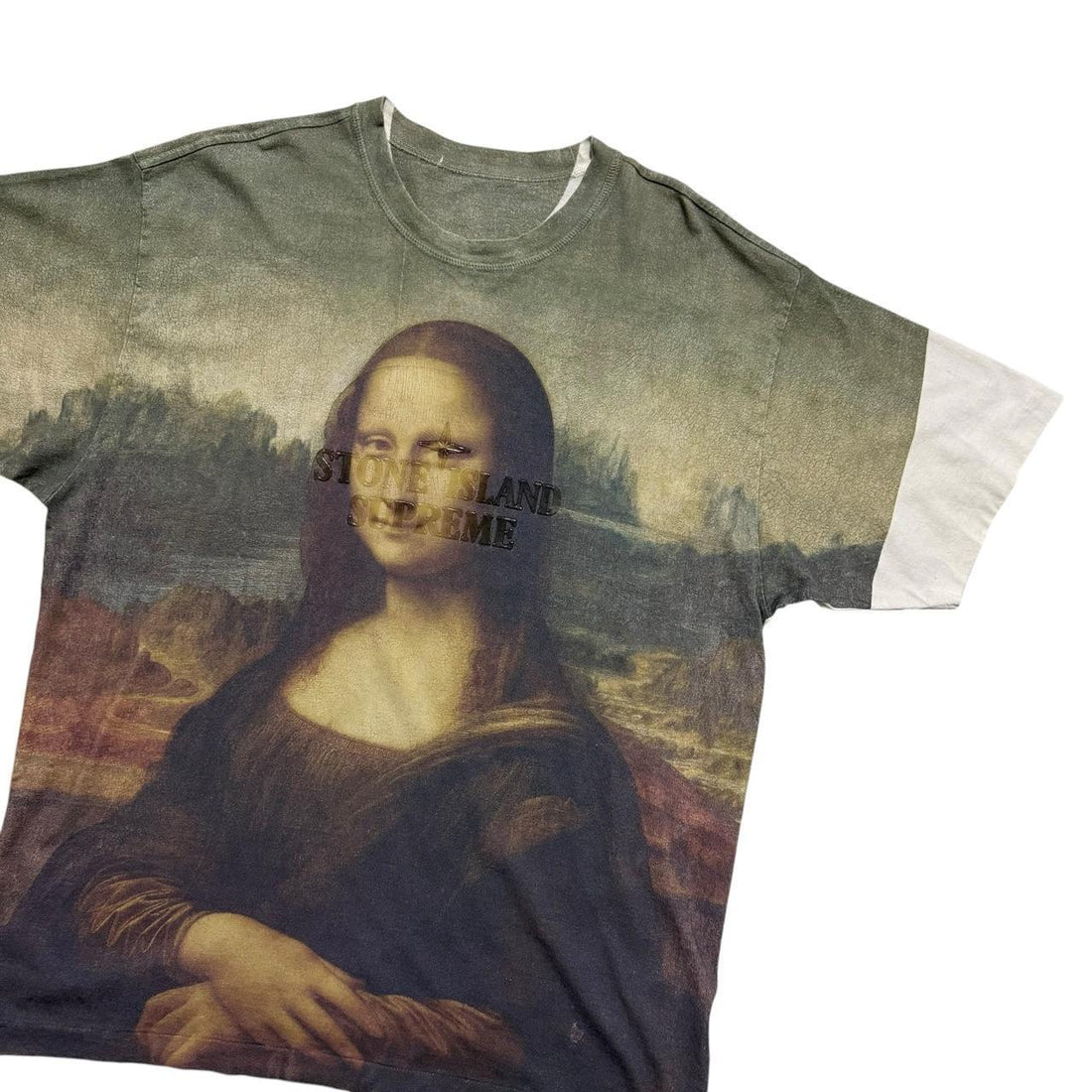 Stone Island Supreme Mona Lisa T-Shirt