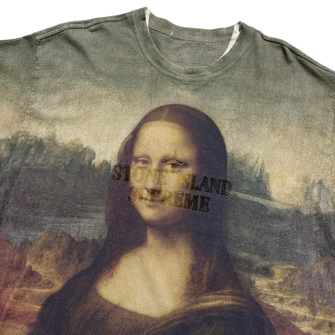 Stone Island Supreme Mona Lisa T-Shirt