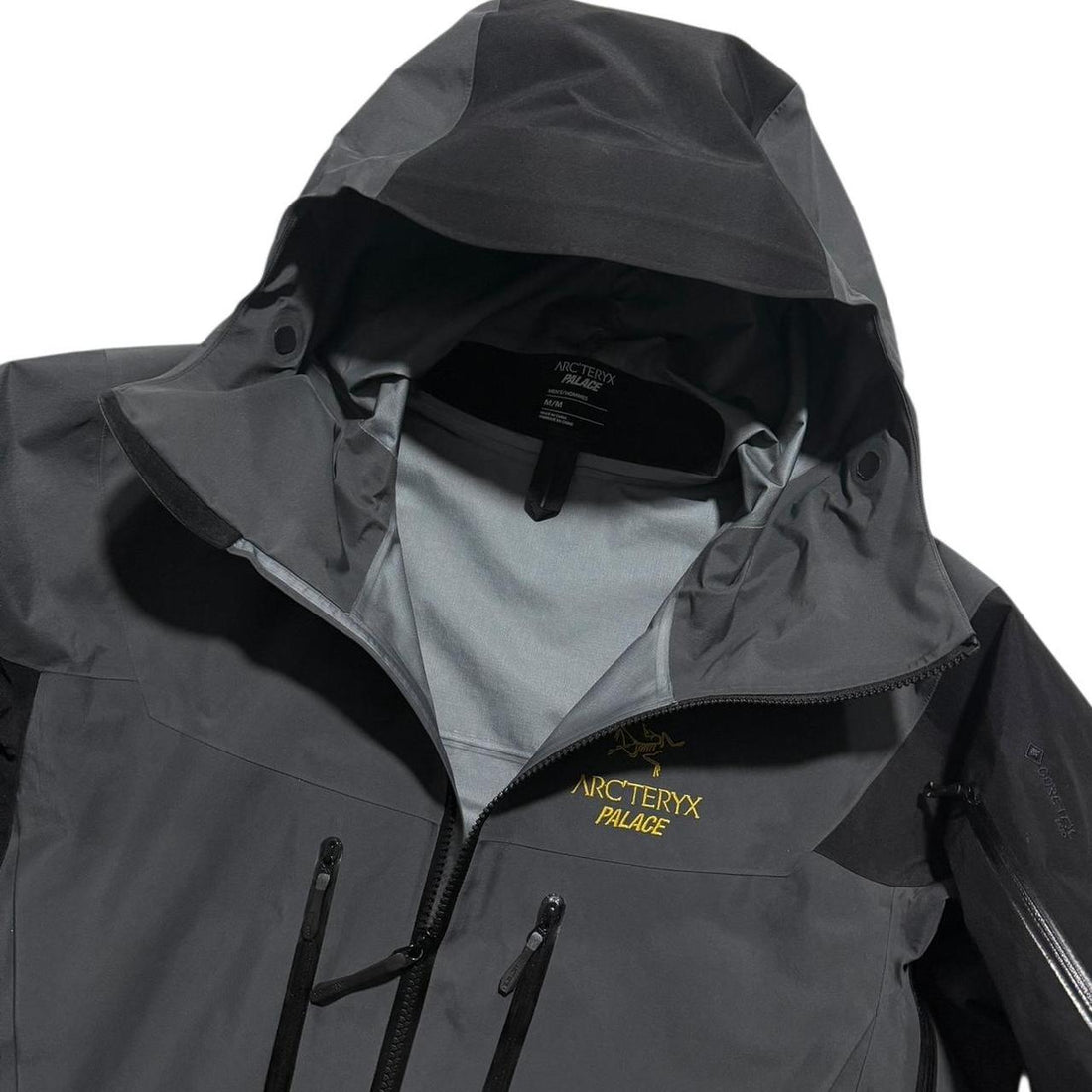 Arc'teryx Palace Alpha SV Jacket