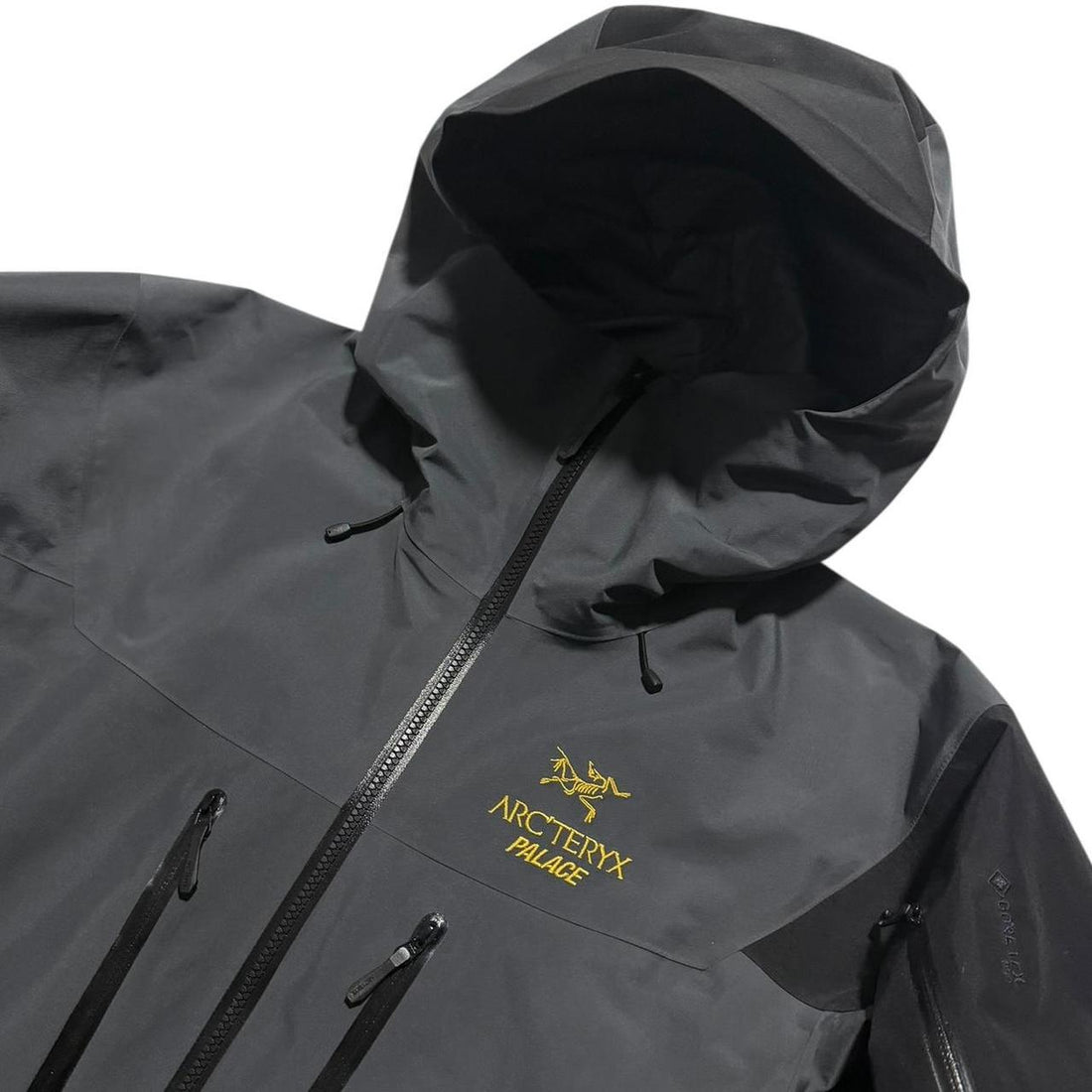 Arc'teryx Palace Alpha SV Jacket