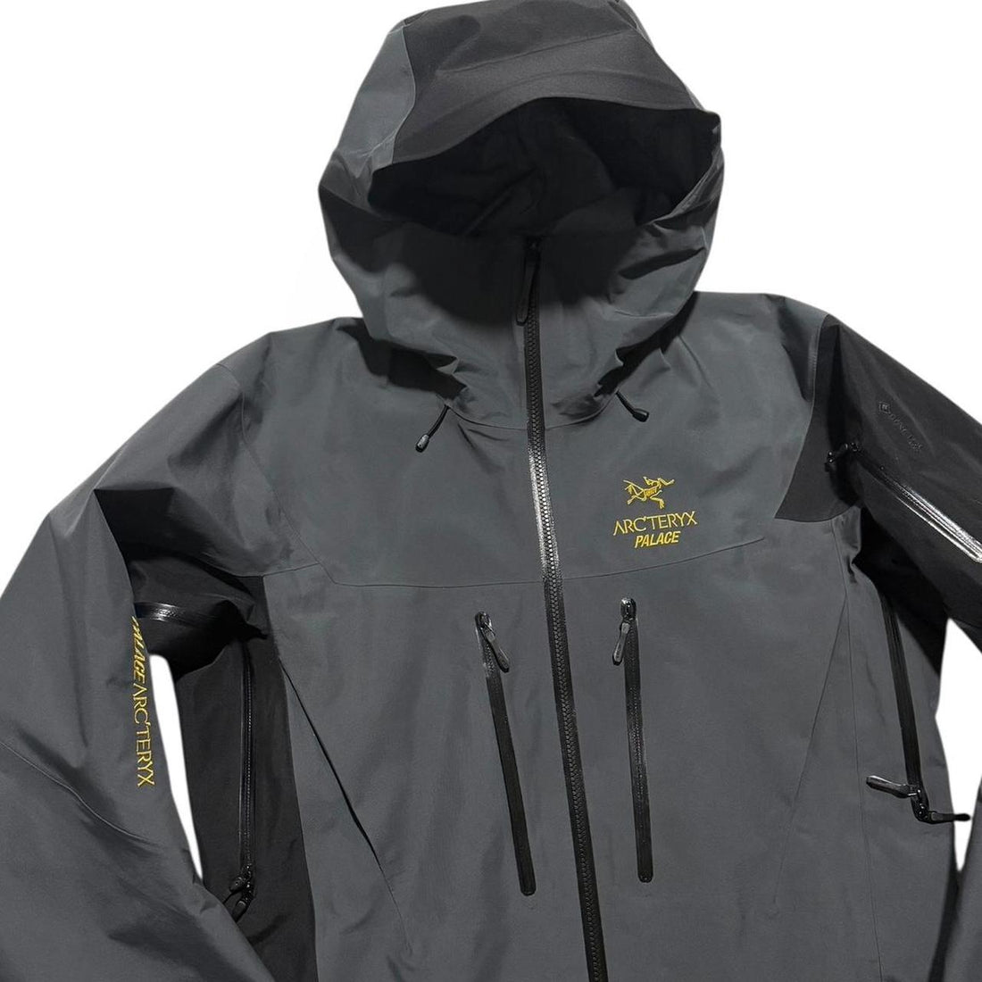 Arc'teryx Palace Alpha SV Jacket