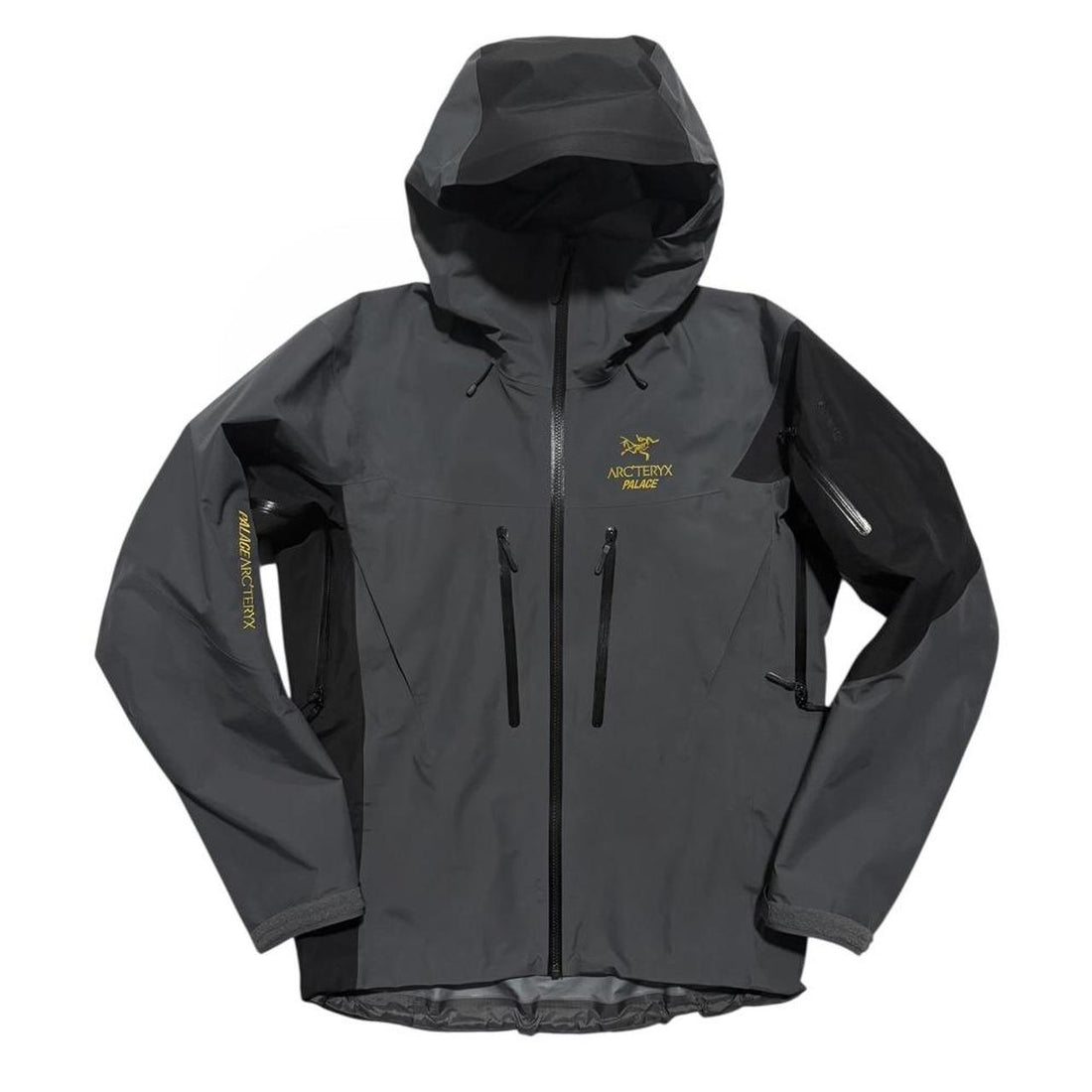 Arc'teryx Palace Alpha SV Jacket